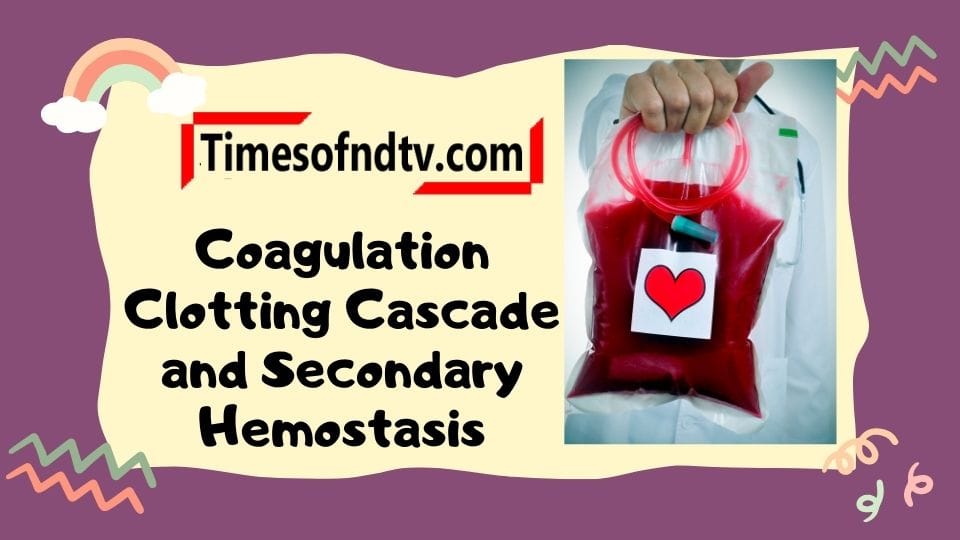 Coagulation Clotting Cascade and Secondary Hemostasis